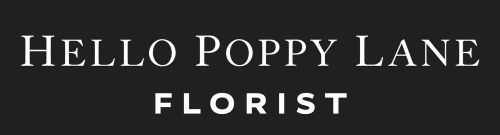 Hello Poppy Lane Florist